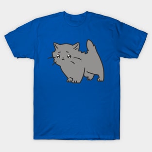 Sad Blue Persian Kitten T-Shirt